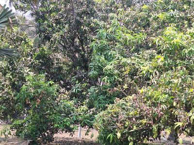 Image of 8505 Sq.ft Residential Plot / Land for sale in Melmaruvathur, Chennai for Rs. 2976750