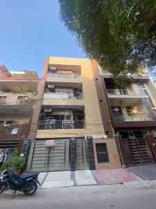 Image of Orchid Paying Guest in Sector 19, Noida