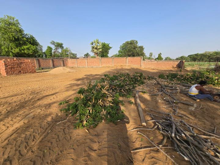 Bihta Main Image 1