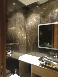 Common Bathroom Image of 2400 Sq.ft 4 BHK Builder Floor for sale in Sarhol Gurgaon for Rs. 55000000