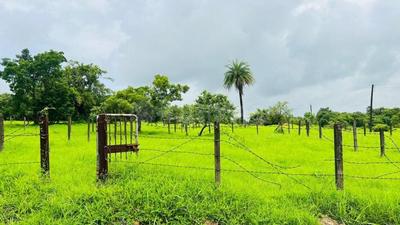 Image of 2500 Sq.ft Residential Plot / Land for sale in Wada, Mumbai for Rs. 800000