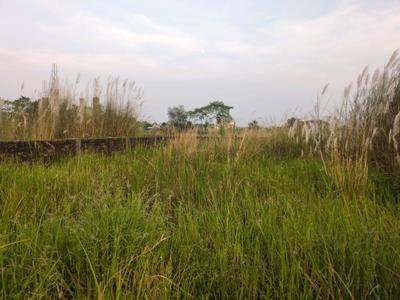 Image of 720 Sq.ft Residential Plot / Land for sale in Nest Valley, Joka, Kolkata for Rs. 150005