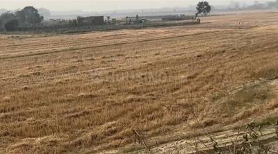 Image of 1000 Sq.ft Residential Plot / Land for sale in Rajendra Nagar, Gorakhpur for Rs. 851000