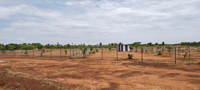 Image of 11104 Sq.ft Residential Plot / Land for sale in Sooriyur, Tiruchirappalli for Rs. 1765377