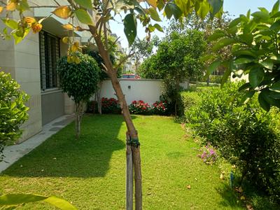 Image of 3600 Sq.ft 4 BHK Villa for rent in Sobha International City, Sector 109, Gurgaon for Rs. 150000