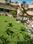 Model Town More Images 2