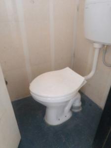 Common Bathroom Image of 750 Sq.ft 1 BHK Apartment / Flat for rent in Magarpatta Zinnia by Magarpatta City, Magarpatta City Pune for Rs. 25000