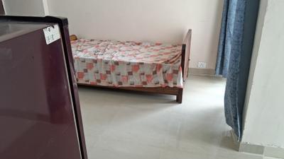 Living Room Image of 585 Sq.ft 1 BHK Apartment / Flat for rent in Amrapali Dream Valley 2, Noida Extension Greater Noida for Rs. 16000