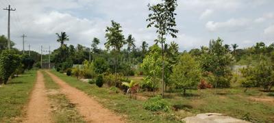 Image of 6000 Sq.ft Residential Plot / Land for sale in Gollahalli, Bengaluru for Rs. 4800000