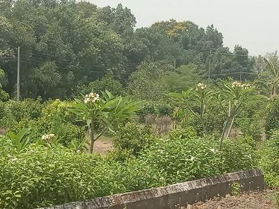 Image of 3100 Sq.ft Residential Plot / Land for sale in Murbad, Thane for Rs. 2100000