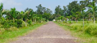 Image of 5000 Sq.ft Residential Plot / Land for sale in Changurabhata, Raipur for Rs. 3255000