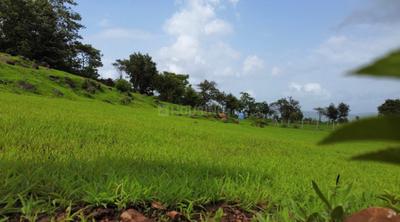 Image of 10000 Sq.ft Residential Plot / Land for sale in Khandad, Raigad for Rs. 350000