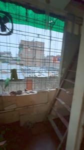 Balcony Image of 1090 Sq.ft 2 BHK Apartment / Flat for sale in Sukhliya Indore for Rs. 5000000