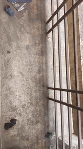 Balcony Image of 680 Sq.ft 1 BHK Apartment / Flat for rent in Ulwe Navi Mumbai for Rs. 12000