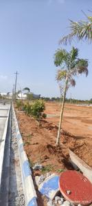 Image of 167 Sq.ft Residential Plot / Land for sale in Shadnagar, Ranga Reddy for Rs. 3173010