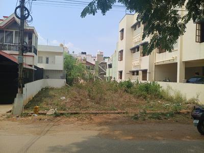 Vijayanagar 1st Stage Plot View 1