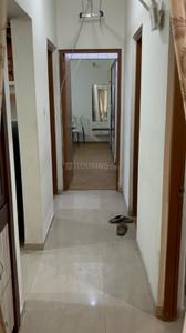 Hall Image of 918 Sq.ft 2 BHK Apartment / Flat for rent in Lodha Casa Bella Gold, Palava Phase 1 Thane for Rs. 26000