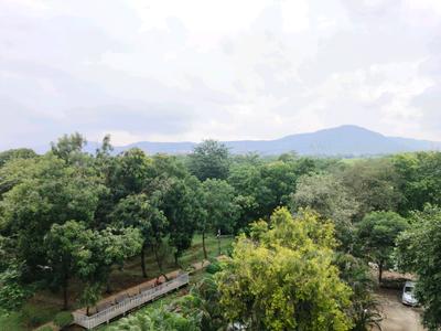 Bedroom Image of 585 Sq.ft 1 BHK Apartment / Flat for rent in Lodha Casa Rio by Lodha Group, Palava Phase 1 Thane for Rs. 13000