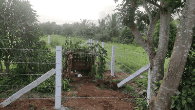 Image of 1980 Sq.ft Residential Plot / Land for sale in Othakalmandapam, Coimbatore for Rs. 3605000