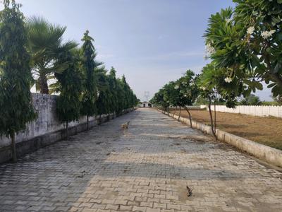 Image of 623 Sq.ft Residential Plot / Land for sale in Del NCR Aero City, Shahpur Kala, Greater Noida for Rs. 1371100