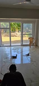Hall Image of 1100 Sq.ft 2 BHK Apartment / Flat for sale in Ashiana Rangoli, U.I.T. Bhiwadi for Rs. 10000000