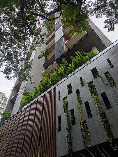 Maple Shades Main Image 1