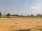 Thimmapur Plot View 2