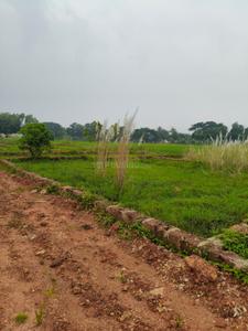 Image of 2000 Sq.ft Residential Plot / Land for sale in Kairi, Bhubaneswar for Rs. 6600000