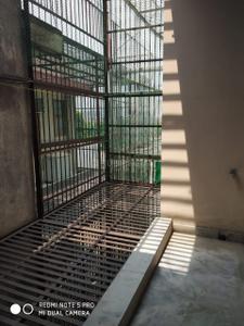 Balcony Image of 1850 Sq.ft 2 BHK Builder Floor for rent in Gail Society, Sector PI Greater Noida for Rs. 19000
