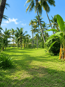 Image of 43560 Sq.ft Residential Plot / Land for sale in Thrippunithura, Kochi for Rs. 150000000