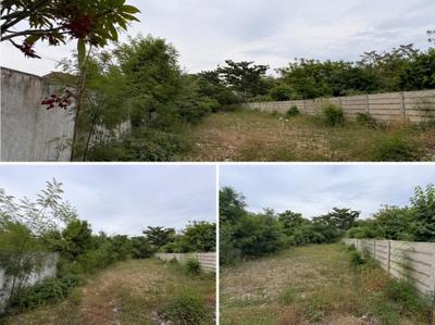 Raja Garden Plot View 2