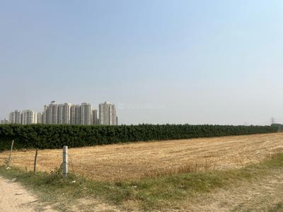 Image of 1350 Sq.ft Residential Plot / Land for sale in Dankaur, Greater Noida for Rs. 4200000