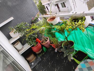 Balcony Image of 1180 Sq.ft 2 BHK Apartment / Flat for sale in SLV Magnum, Bommanahalli Bengaluru for Rs. 12500000