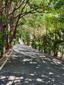 Image of 7000 Sq.ft Residential Plot / Land for sale in Victorian Meadows, Munnekollal, Bengaluru for Rs. 65000000