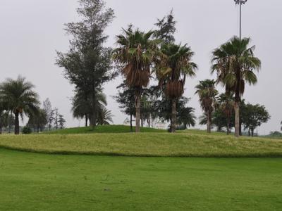Image of 100 Sq.ft Residential Plot / Land for sale in Supertech Golf Country, Yeida, Greater Noida for Rs. 7000000