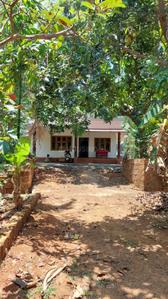 Image of 1200 Sq.ft 2 BHK Independent House for rent in Mattannur, Kannur for Rs. 12000