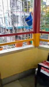 Balcony Image of 800 Sq.ft 2 BHK Apartment / Flat for sale in Garfa Kolkata for Rs. 3500000