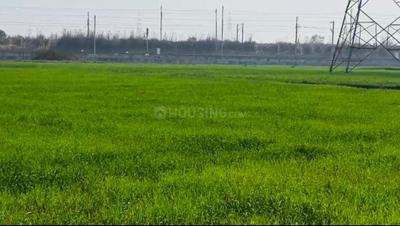 Image of 54000 Sq.ft Residential Plot / Land for sale in Ram Nagar, Varanasi for Rs. 28000000