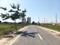 Vatika Express City Plots Internal Roads 1