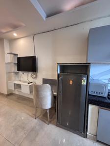 Hall Image of 500 Sq.ft 1 BHK Builder Floor for rent in DLF Phase 3 Gurgaon for Rs. 35500
