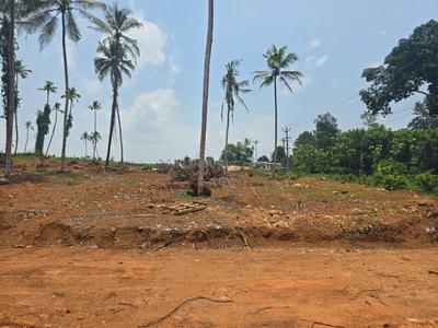 Image of 76176 Sq.ft Residential Plot / Land for sale in Kanjirappally, Kottayam for Rs. 26250000