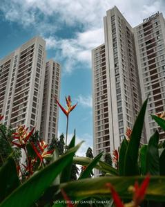 Image of 1850 Sq.ft 3 BHK Apartment / Flat for sale in Piramal Vaikunth , Thane West, Thane for Rs. 23900000