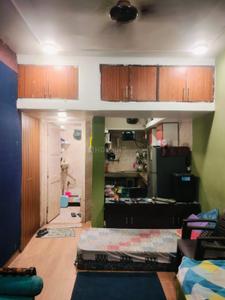 1 RK Apartment