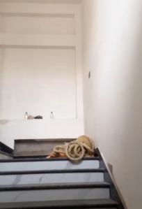 Bedroom Image of 1325 Sq.ft 3 BHK Apartment / Flat for sale in Beliaghata Kolkata for Rs. 11500000