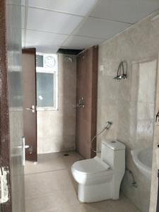 Common Bathroom Image of 1560 Sq.ft 3 BHK Apartment / Flat for sale in Amrapali Heartbeat City IV, Sector 107 Noida for Rs. 16600000