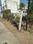 Besa Plot View 2