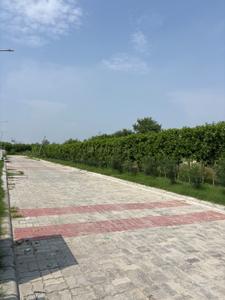 Image of 990 Sq.ft Residential Plot / Land for sale in Essel Asha Bahadurgarh Phase III, sector 36, Bahadurgarh for Rs. 8800000