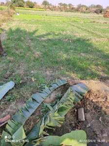 Image of 15525 Sq.ft Residential Plot / Land for sale in Kursauli, Kanpur for Rs. 3800000