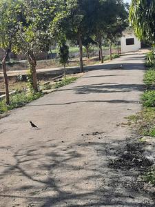 Image of 1350 Sq.ft Residential Plot / Land for sale in Baroli Ahir, Agra for Rs. 900000
