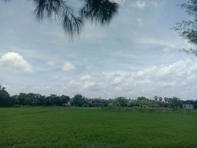 Residential plot Sonarpur Plot View 1